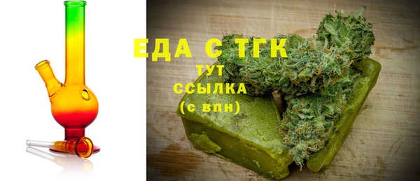 индика Вязники