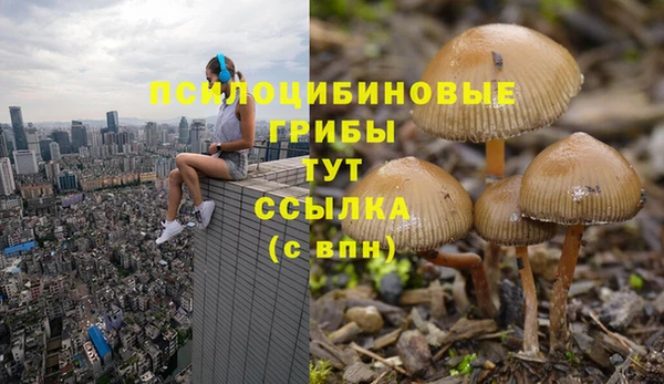 mdpv Вязьма