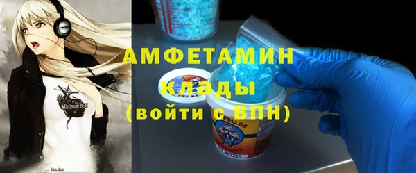 индика Вязники