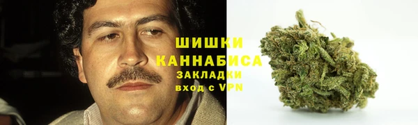 индика Вязники