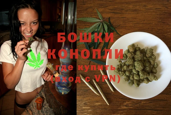 индика Вязники