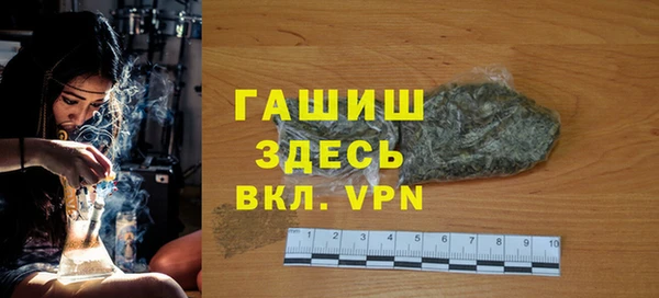 индика Вязники