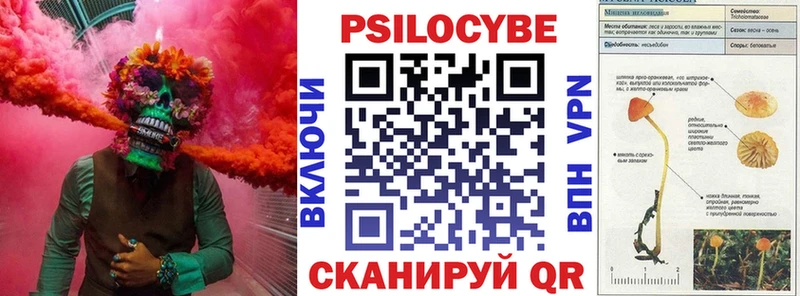 купить наркоту  Салават  Псилоцибиновые грибы ЛСД 